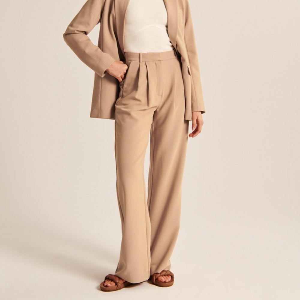 Abercrombie & Fitch Sloane Tailored Pant Brown 29 NWT